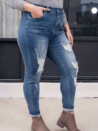 Plus High-Rise Distressed Skinny Jeans